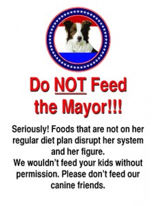 Do Not Feed the Mayor_web