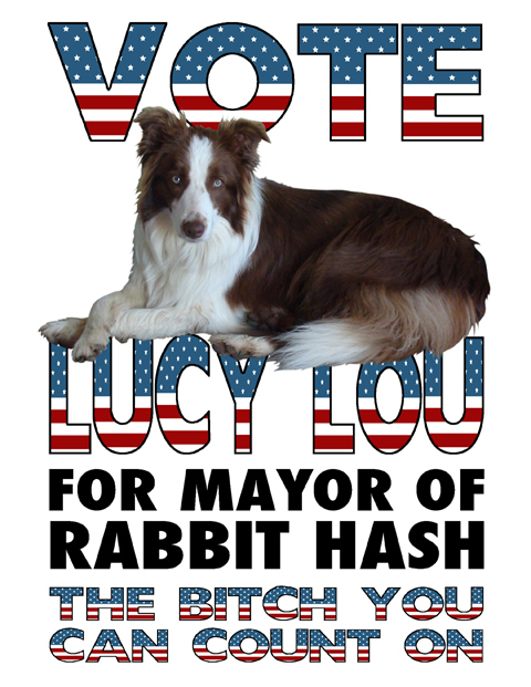 Resultado de imagen para pictures of lucy lou mayor of rabbit hash