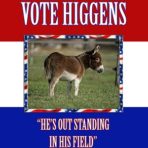 A Vote for Higgins